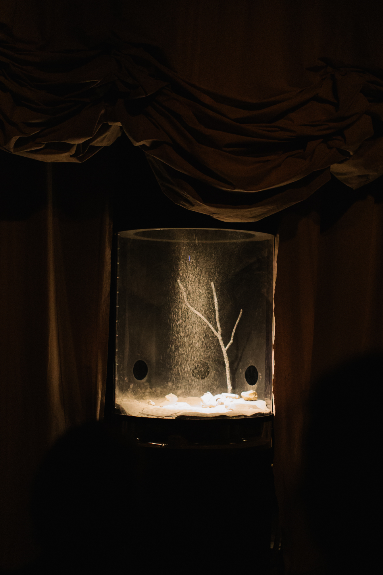 Pousière © Aurélie Michou (1)
